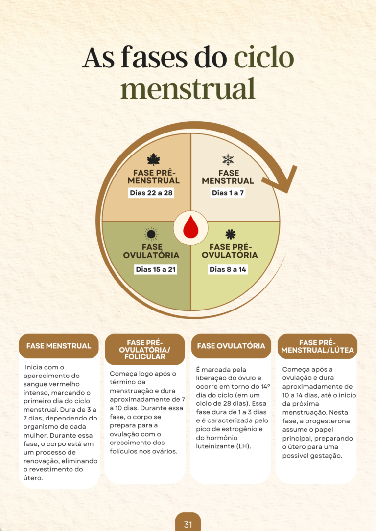 As fases do ciclo menstrual